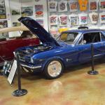 Cambria_0135 (November 02, 2013)